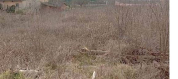 1891m² Land in Mantua, Italy No. 364582 4