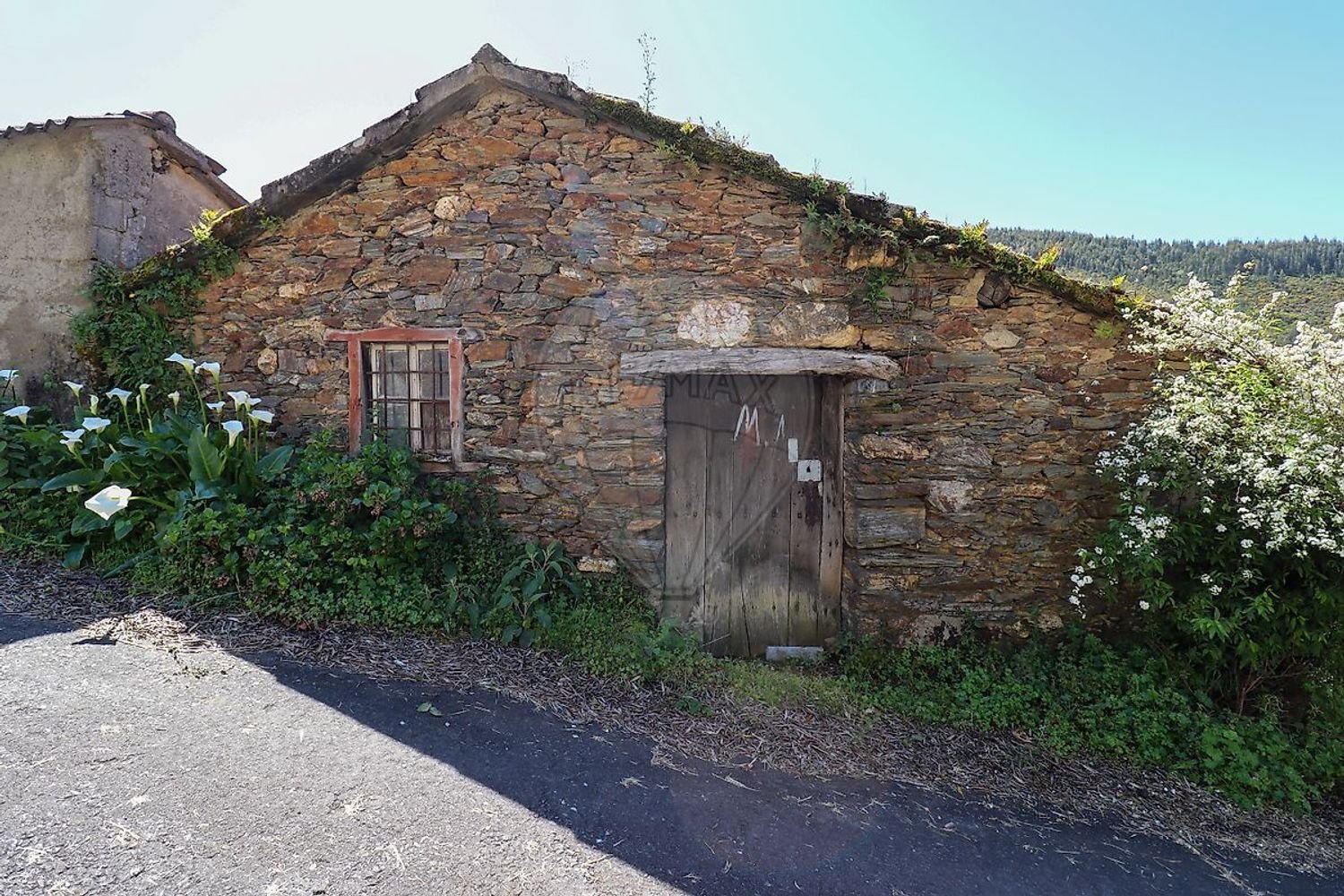 Casa T1 em Pampilhosa da Serra, Portugal N.º 33628