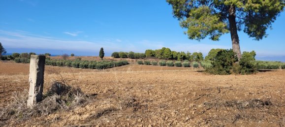 13600 m² terreno en venta en Chalkidiki, Central Macedonia, Macedonia and Thrace, Greece № 93948 2