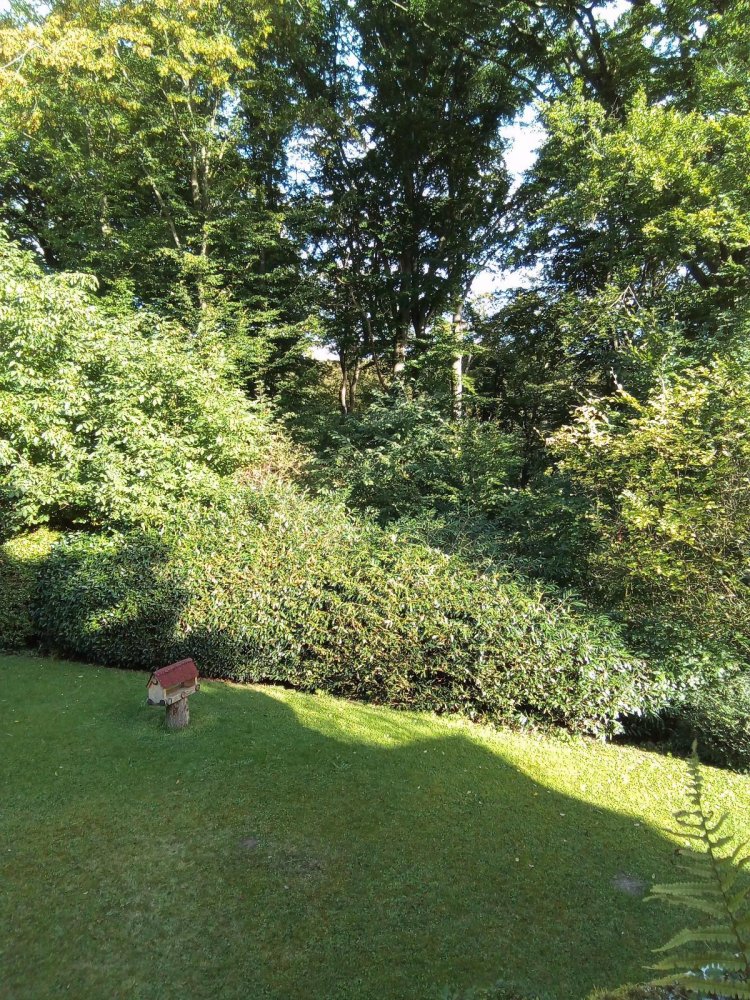 Studio à Neuwied, Germany No. 293840