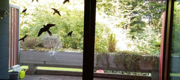 Studio à Neuwied, Germany No. 293840 12