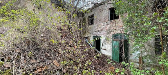 Edificio de 44 dormitorios en Gorlitz, Germany No. 12605 39