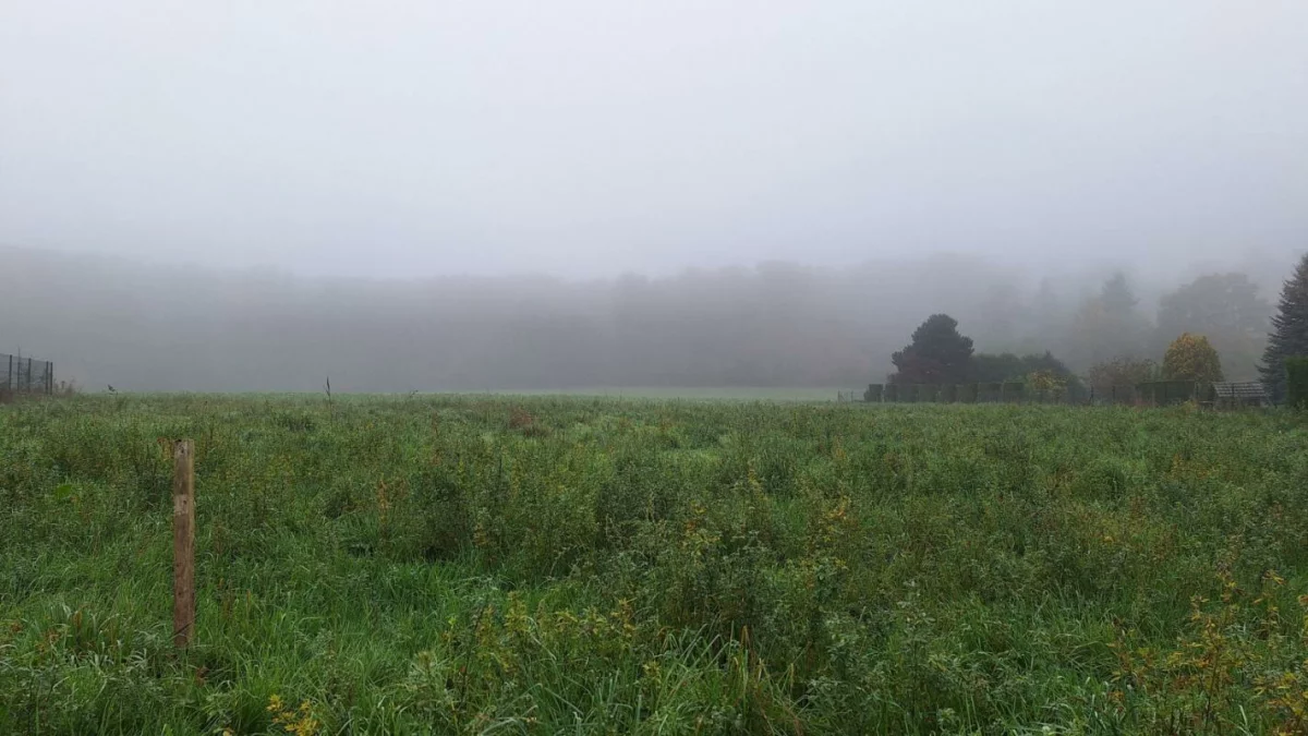 Terreno em Villers-Cotterets, France 955 m² N.º 159968