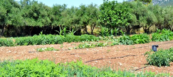 Hotel in Loutraki, Greece 3941m², Nr. 7131 2