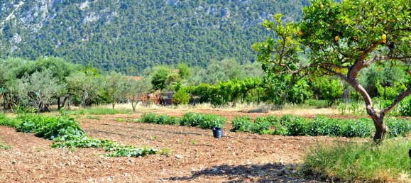 Hotel in Loutraki, Greece 3941m², Nr. 7131 3