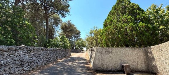 5 rooms Villa in Martina Franca, Italy No. 261138 7