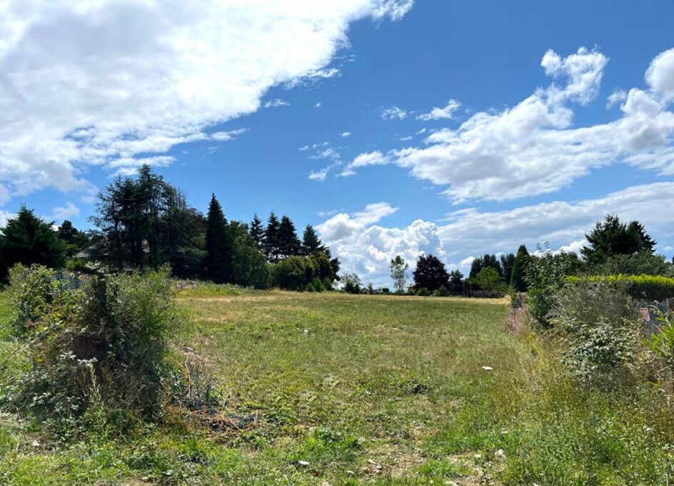  قطعة أرض في Violay, France 1030متر مربع رقم 320408