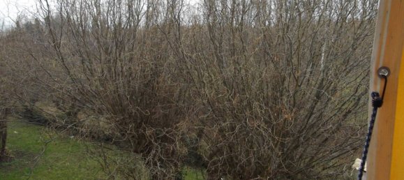 2 bedrooms Apartment in Mondovì, Italy No. 58874 6