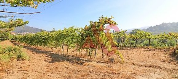  قطعة أرض في Vizela, Portugal 5500متر مربع رقم 38817 16