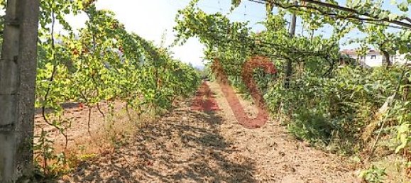  قطعة أرض في Vizela, Portugal 5500متر مربع رقم 38817 22