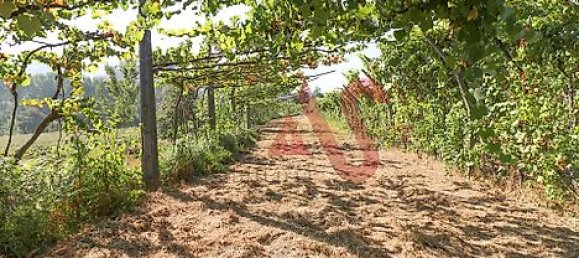  قطعة أرض في Vizela, Portugal 5500متر مربع رقم 38817 20