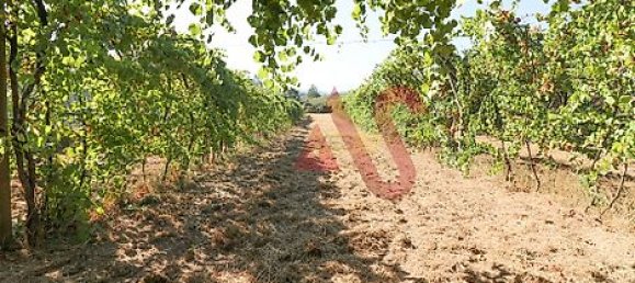  قطعة أرض في Vizela, Portugal 5500متر مربع رقم 38817 21