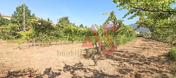  قطعة أرض في Vizela, Portugal 5500متر مربع رقم 38817 18