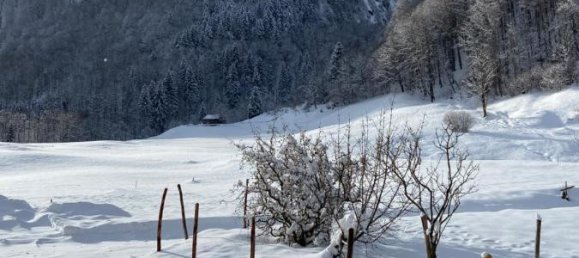 Apartamento de 2 habitaciónes en Mellau, Austria No. 212695 11