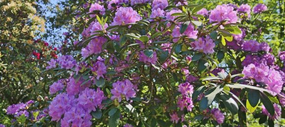 Дом с 4 спальнями в Зегеберг, Германия № 260985 39