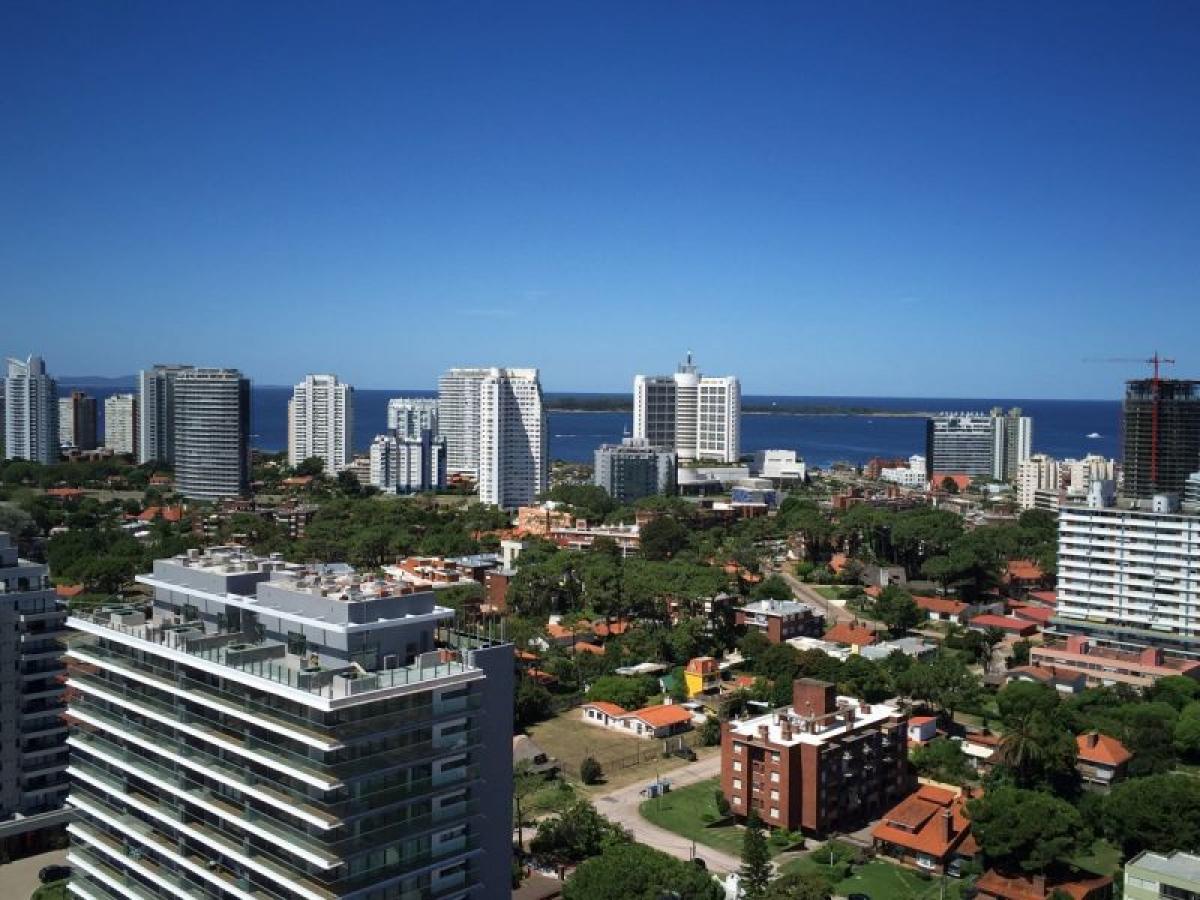 Studio in Maldonado, Uruguay No. 3558