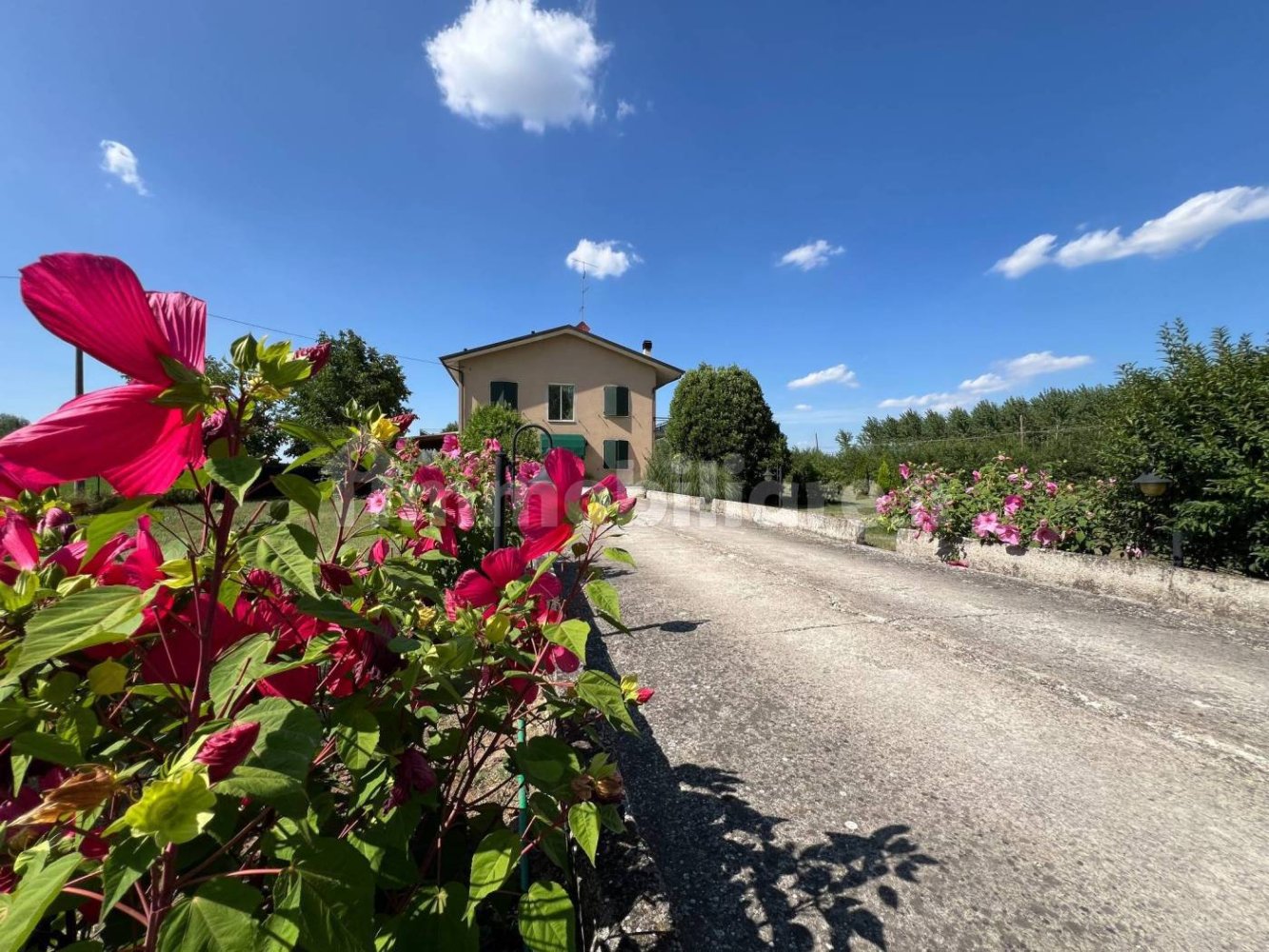 4 Schlafzimmer Villa in Gualtieri, Italy, Nr. 298538