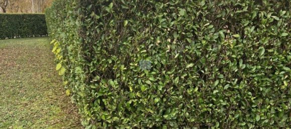 4 bedrooms Apartment in Selvazzano Dentro, Italy No. 312981 15