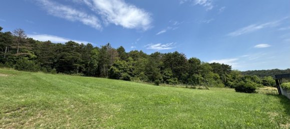 Land in Baden, Austria No. 225600 7