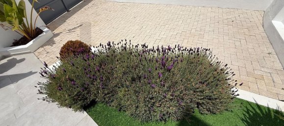 2 غرف نوم منزل في Cascais, Portugal رقم 68626 26