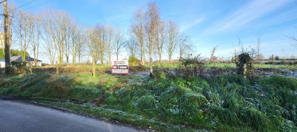 Terrain à Pommera, France 2500m² No. 50758 7