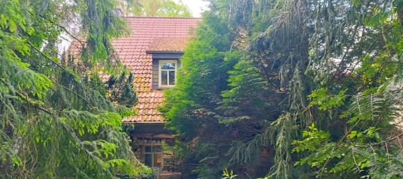 4-Zimmer Haus in Westerwaldkreis, Germany, Nr. 61346 17