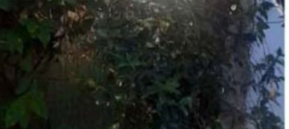 Квартира с 4 комнатами в Анцио, Италия № 191236 5