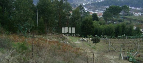 Grundstück in Marco de Canaveses, Portugal 27000m², Nr. 54457 2