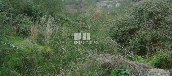 Grundstück in Marco de Canaveses, Portugal 27000m², Nr. 54457 3