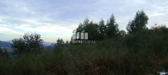 Grundstück in Marco de Canaveses, Portugal 27000m², Nr. 54457 5