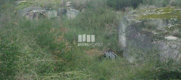 Grundstück in Marco de Canaveses, Portugal 27000m², Nr. 54457 6