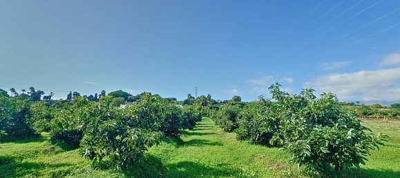 3 chambres Maison à Estepona, Spain No. 139132 32