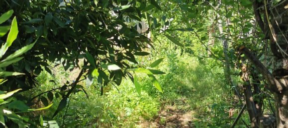 3 Schlafzimmer Haus in Romorantin-Lanthenay, France, Nr. 153182 4