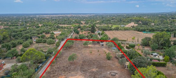 25m² Land in Llucmajor, Spain No. 175987 4