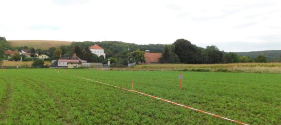 Terreno em Kreuzstetten, Austria N.º 246186 3