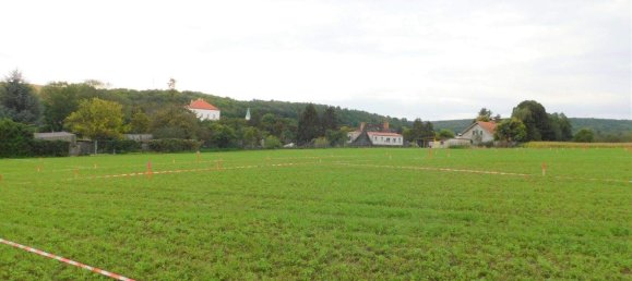 Terreno em Kreuzstetten, Austria N.º 246186 2