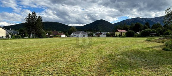 Grundstück in Neunkirchen, Austria 12700m², Nr. 249507 3