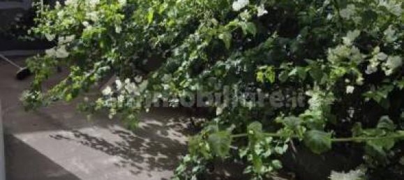 5 غرف نوم فيلا في Sant'Angelo di Brolo, Italy رقم 39885 16