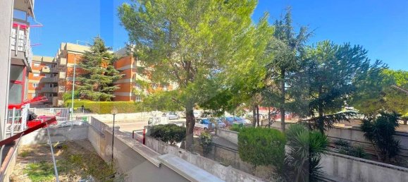 3-Zimmer Wohnung in Adelfia, Italy, Nr. 28446 2