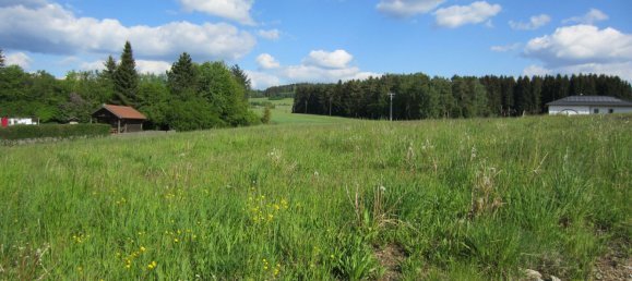 Земельный участок в Виндхаг бай Фрайштадт, Австрия № 107954 2