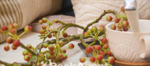 2 bedrooms Apartment in Vetralla, Italy No. 317504 5