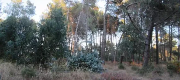  قطعة أرض في Setubal, Portugal رقم 66133 2