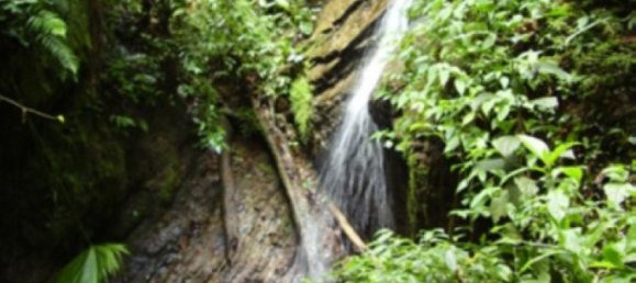 terrain à vendre à Tilaran, Guanacaste, Costa Rica № 1905 5