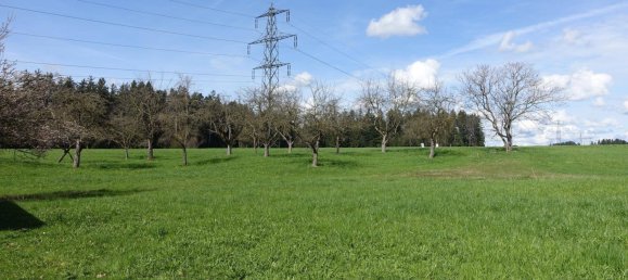 Земельный участок в Хёрбранц, Австрия № 120027 2