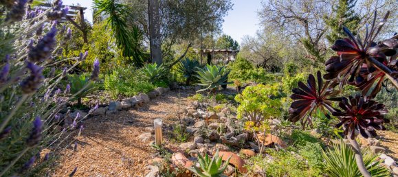 3 bedrooms Villa in Tavira, Portugal No. 221400 41