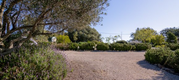 3 bedrooms Villa in Tavira, Portugal No. 221400 39