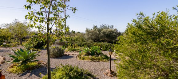 3 bedrooms Villa in Tavira, Portugal No. 221400 37