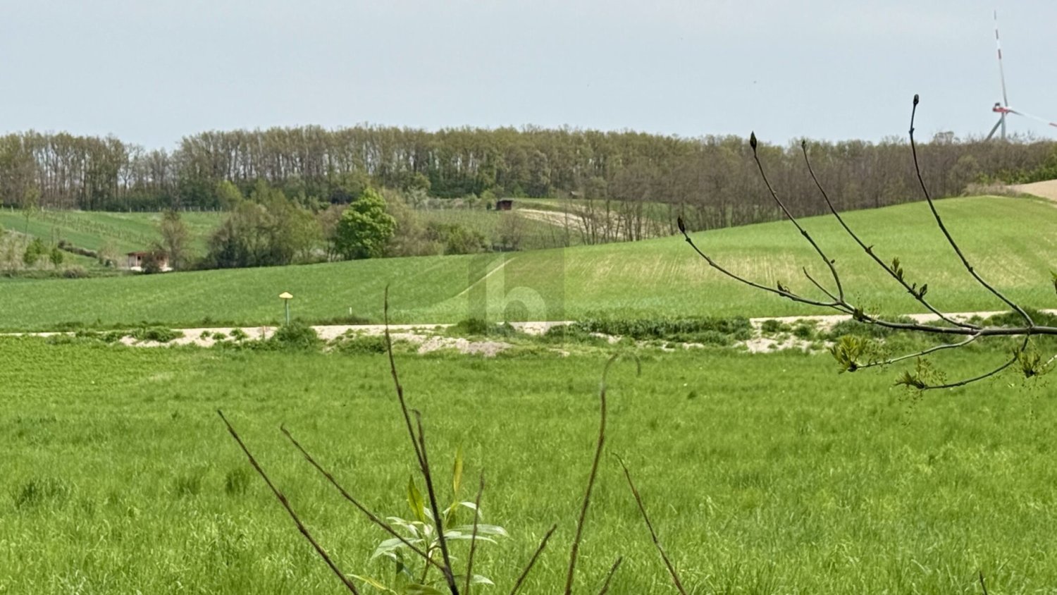  Land in Sigless, Austria No. 259392