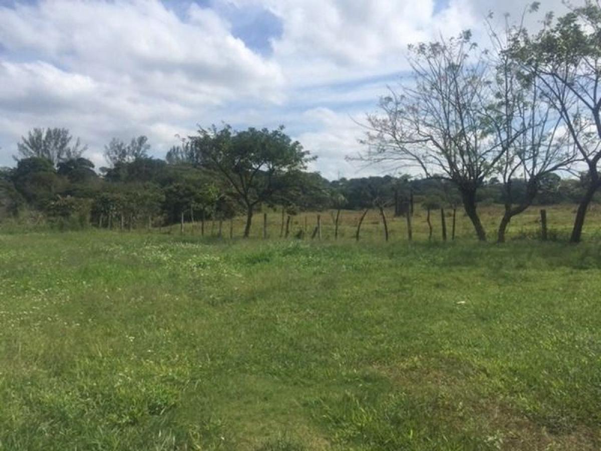  Land in Veracruz, Mexico No. 204444