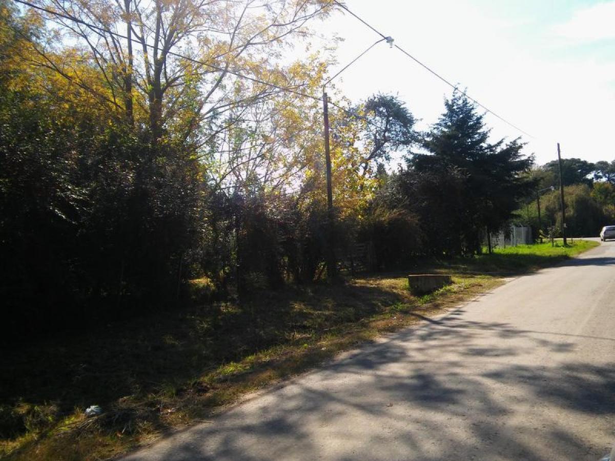 Grundstück in Buenos Aires, Argentina 134m², Nr. 117054